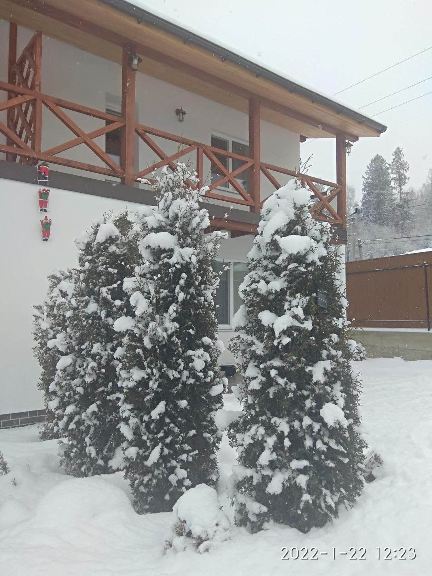Nestg Guest House Pilipets Luaran gambar